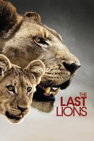 Bầy Sư Tử Cuối Cùng The Last Lions