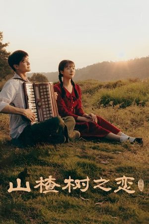 Chuyện Tình Cây Sơn Tra When The Hawthorn Blooms