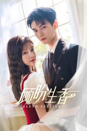 Cố Phán Sinh Hương Blend Feelings