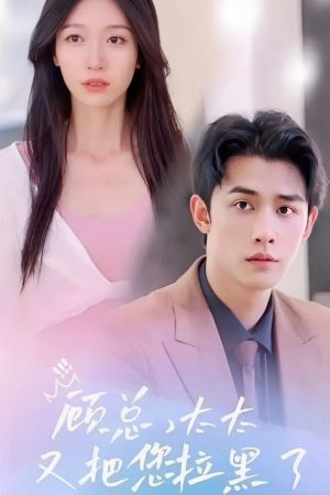 Cố Tổng, Phu Nhân Lại Chặn Anh Rồi Mr. Gu, Your Wife Has Blocked You Again