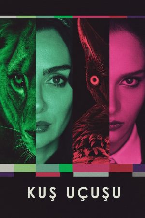 Đôi Cánh Tham Vọng (Phần 3) As The Crow Flies (Season 3)