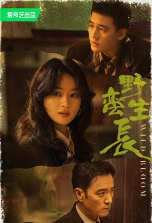 Gió Thổi Bán Hạ (Dã Man Sinh Trưởng) Wild Bloom