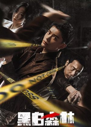 Khu Rừng Đen Trắng Black & White Forest