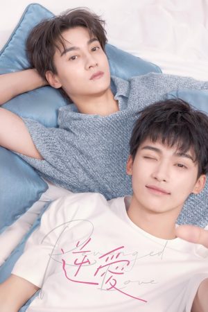 Nghịch Tập (Nghịch Ái) Revenged Love