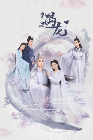 Ngộ Long Miss The Dragon