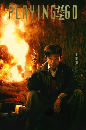 Người Chơi Cờ Playing Go