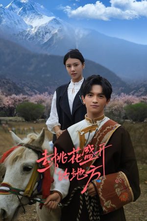 Nơi Hoa Đào Nở Rộ Finding Home In Blossoms