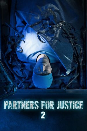 Nữ Công Tố Viên (Phần 2) Partners For Justice (Season 2)
