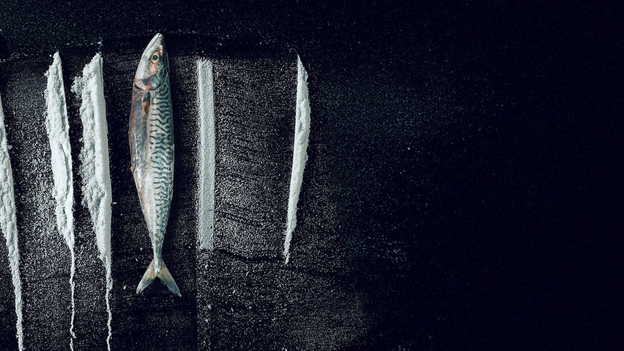 Sóng Triều Đổi Vận: Câu Chuyện Siêu Thực Về Rabo De