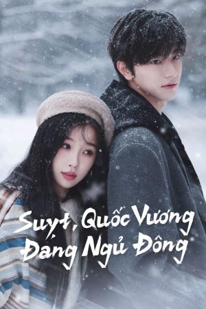 Suỵt, Quốc Vương Đang Ngủ Đông Ski Into Love