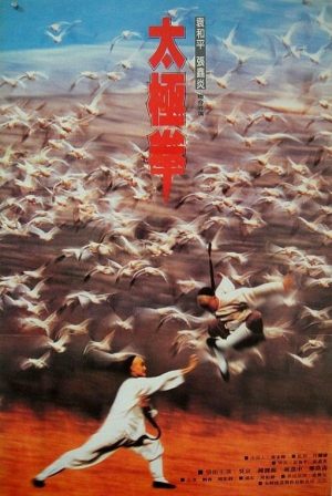 Thái Cực Quyền II Tai Chi Boxer 2