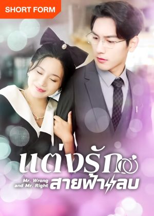 Thất Bại Trong Buổi Xem Mắt Tôi Kéo Tổng Tài Đi Kết Hôn Chớp Nhoáng Mr. Wrong And Mr. Right