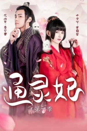 Thông Linh Phi (Phần 1) Psychic Princess (Season 1)