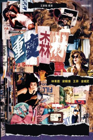 Trùng Khánh Sâm Lâm Chungking Express