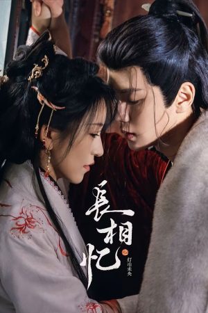 Trường Tương Ức: Đăng Dã Vị Ương Phoenix's Homecoming