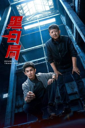 Ván Cờ Trắng Đen (Hắc Bạch Cục) Double Track Puzzle