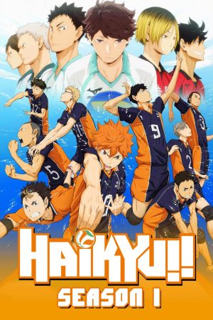 Vua Bóng Chuyền Haikyuu (Phần 1) Haikyu!! (Season 1)