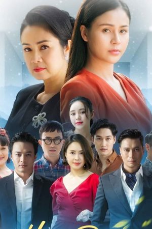 Hướng Dương Ngược Nắng Sunlight In The Mirror