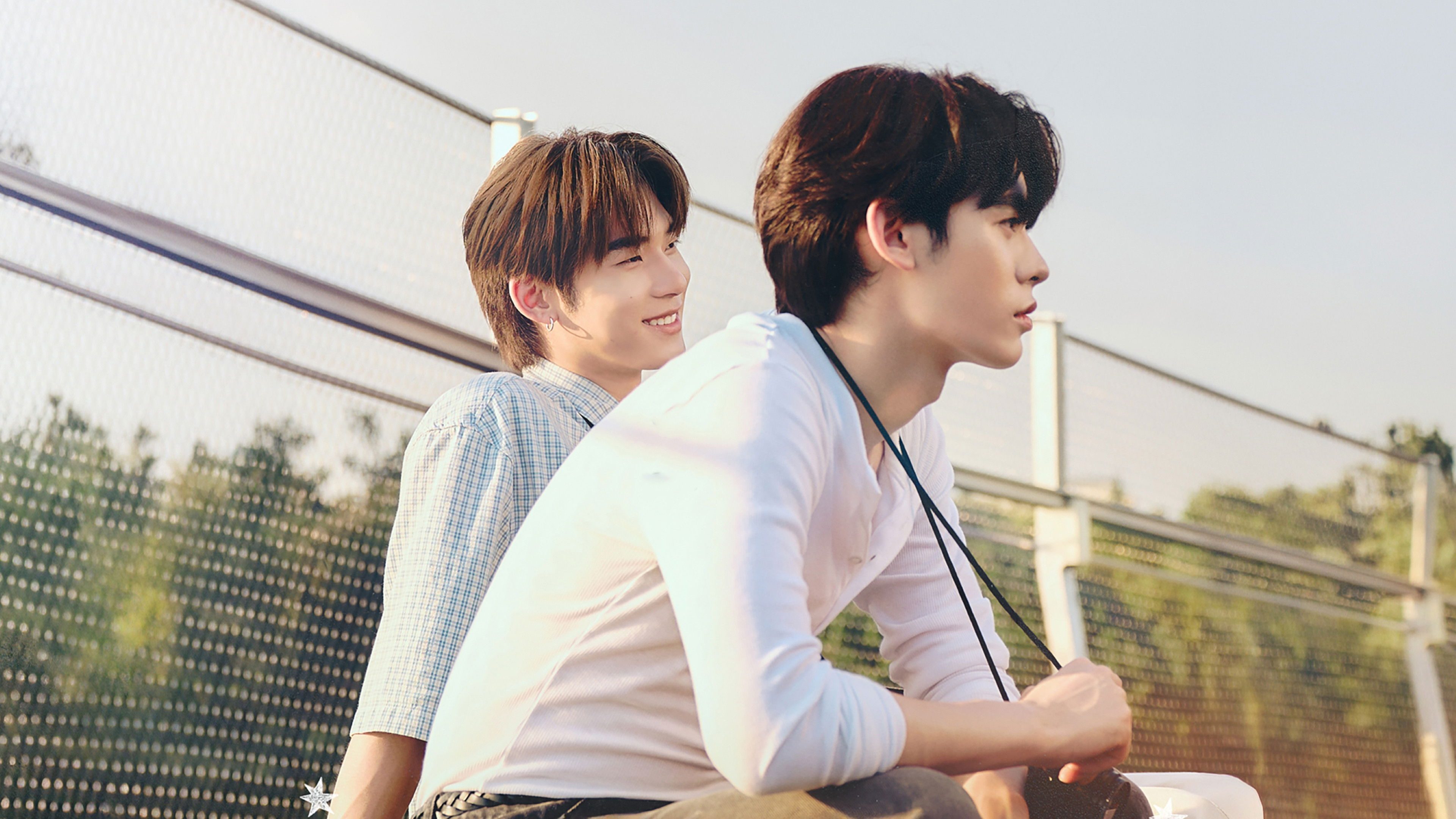 Tình Yêu Bọ Xít