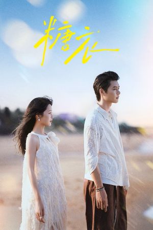 Vỏ Bọc Ngọt Ngào Sugar And Lies