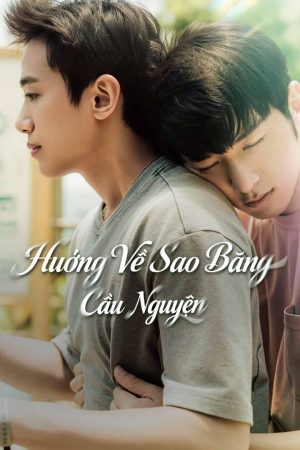 Hướng Về Sao Băng Cầu Nguyện Wishing Upon the Shooting Stars