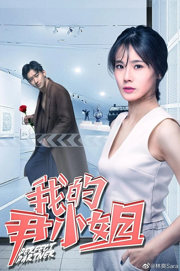 Cộng Sự Hoàn Hảo Perfect Partner