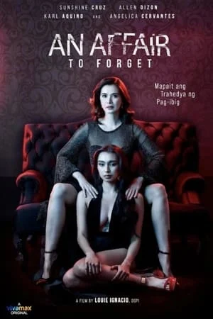 Quên Một Cuộc Tình An Affair to Forget