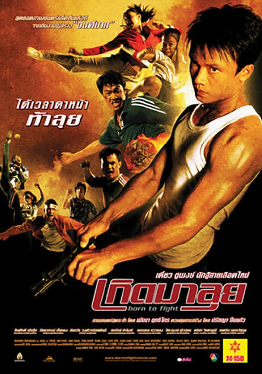 Sinh Ra Để Chiến Đấu Born to Fight