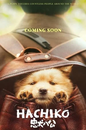 Trung Khuyển Bát Công Hachiko