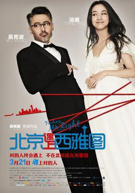 Truy Tìm Người Hoàn Hảo Finding Mr. Right