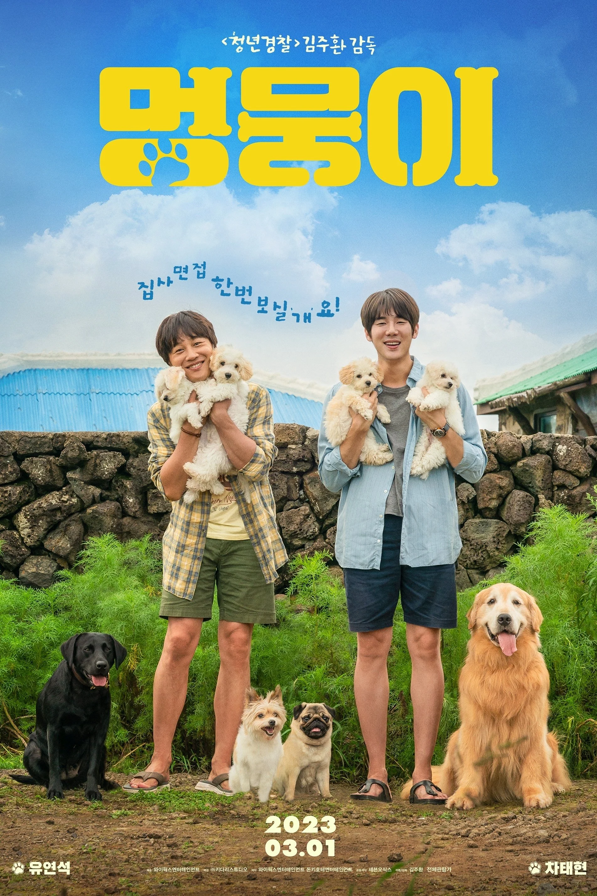 Tìm Nhà Cho Boss My Heart Puppy
